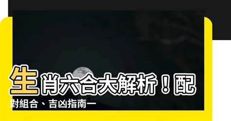 生效六合|【生肖 六合】生肖六合大解析！配對組合、吉凶指南。